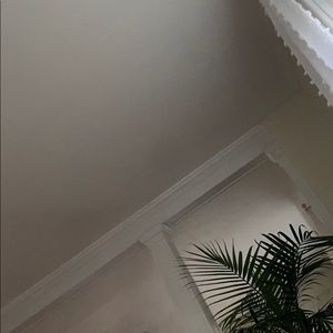 Meet your Posher, Adam